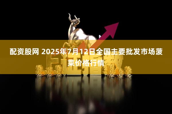 配资股网 2025年7月12日全国主要批发市场菠菜价格行情